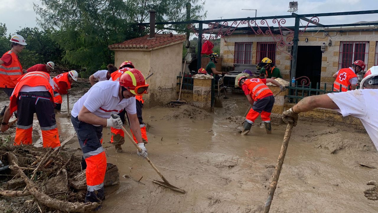 Voluntarios trabajan en la rehabilitación de zonas afectadas por la DANA en Valencia, España