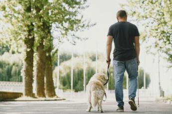 Uber y la Fundación ONCE del Perro Guía se unen para mejorar la accesibilidad en la movilidad